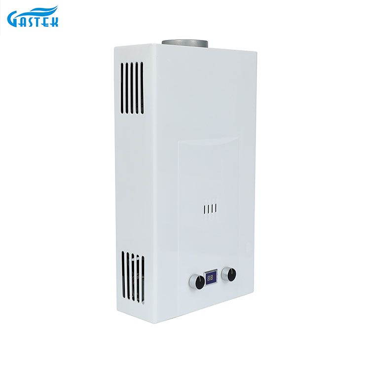 Type Type Добро качество 6L 8L 10L 12L 16L 18L 20L TANKERSTINS Instant LPG HOT WATER SOWRE GASER GAYSER